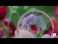 KATRE (DROP) - Taner DEMİRALP