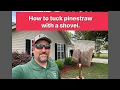 How to use a shovel or spade to tuck pinestraw