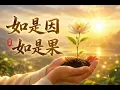《如是因 如是果》｜你种下什么，终将收获什么 As the Cause, So the Effect | What You Plant, You Will Harvest
