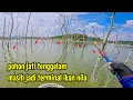 Lagu POHON JATI TENGGELAM MASIH JADI TERMINAL IKAN NILA || mancing ikan nila di waduk gongseng