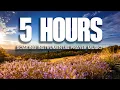 5 HOURS OF SOAKING INSTRUMENTAL PRAYER MUSIC DAYSTAR REFLECTIONS PLAYLIST