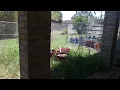 Lowes Dog Kennel