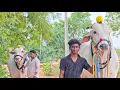 Download Lagu నల్లపురెడ్డి (గ్రామం) పెన్నగాలూరు  (మం) అన్నయ్య జిల్లా...ఓల్డ్ కేటగిరీ శ్రీకాంత గారి జత... 💥💥
