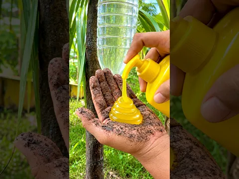 Survival Skills SIMPLE and USEFUL save SOAP & Water in forest #camping #outdoors #survival #skills
