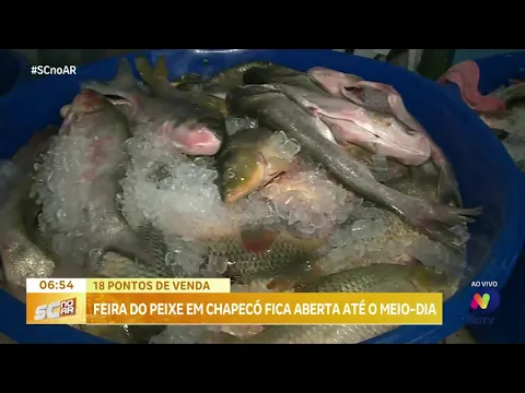 Feira do Peixe Vivo de Chapecó atrai o público em busca de opções para a Sexta-Feira Santa