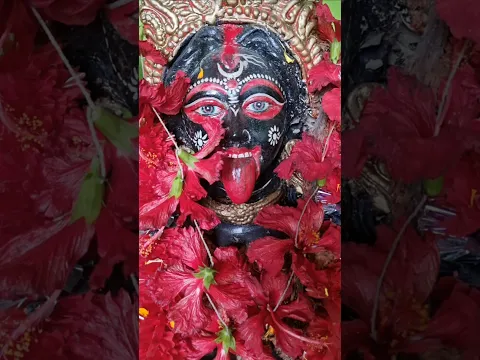 মাগো তুমি সর্বজননী আছো হৃদয় জুড়ে ❤️🌺🙏