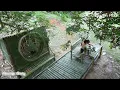Download Lagu A girl spent 7 days building a bamboo hut and surviving in the deserted forest.