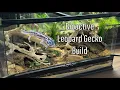 Build a Baby Bioactive Leopard Gecko Enclosure