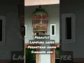 Download Lagu perkutut lampung mas rahmat punya #perkututlokalgacor #perkututkaturanggan #perkututjawa