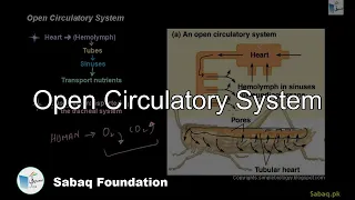 Open Circulatory System Biology Lecture Sabaq pk