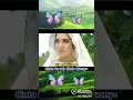 Download Lagu Gamang diseso mimpi Kintani