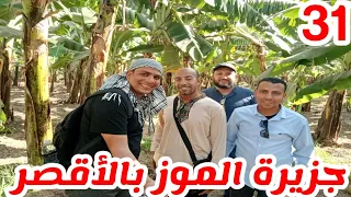 Luxor City Banana Island And The Most Beautiful Scenes Of Bananas Crocodiles Monkeys  Luxor City Banana Island And The Most Beautiful Scenes Of Bananas Crocodiles Monkeys
