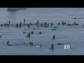 Santa Cruz Surfers Pay Tribute To Jack O Neill With Memorial Paddle Out