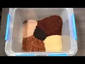 Simulating the Desert for 100 Days
