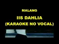 Download Lagu MALANG - IIS DAHLIA (KARAOKE NO VOCAL)