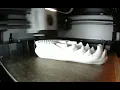 Wolf Skull Time Lapse