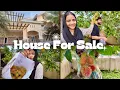Download Lagu Old Villa Visiting Vlog 🥰 | Rambuttan Parikkal 😜 | House \u0026 Plot For SALE 💵 | Suhana | Basheer Bashi