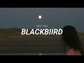 BLACKBIIRD - beyoncé feat. tanner adell [TRADUÇÃO/LEGENDADO]