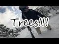 20210227 Into trees by accident Stevens Pass