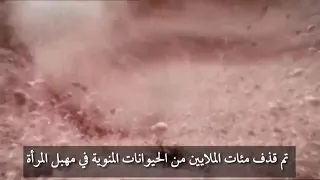 الاخصاب في الإنسان  رحلة الحيوانات المنوية للوصول إلي البويضة دندنها