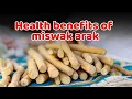 Download Lagu Health  benefits of Miswak  Arak ( Persica Salvadora)