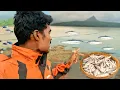 Download Lagu पवना डॅमला पकडले भरपूर🤗मासे🐠वाम🤭आणि शिंगटे इतर दुसरे सुद्धा मासे🐠🐠 मच्छी मार्केटला
