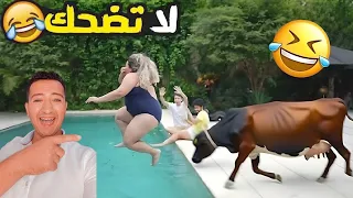 فيديوهات مضحكة 2025 ضحك حتى البكاء Try Not To Laugh Challenge 