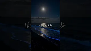 فلما نسوا ما ذكروا به بصوت محمود على البنا المنشاوي اكسبلور قرآن لايك تصميمي راحة نفسية 