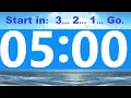 5 Minute Countdown Timer - Beep Time Remaining at Each Minute NO ADS DURING TIMER