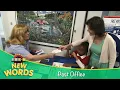 Post Office New Words KidVision Pre-K