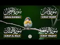 Download Lagu Beautiful Surah Yaseen (Yasin) | Surah Rahman | Surah Waqiah | Surah Mulk
