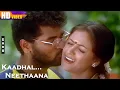 Download Lagu Kadhal Neethana Kadhal Neethana HD Video | Simran \u0026 Prabudeva Melody Love Song | Ilayaraja Music