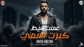 عملت صيت كبرت اسمي الحمد لله الذي هدانا حمو حبيشه كلمات عمر فانكي توزيع ونش المزيكا 2026 