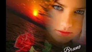 يوم الزياره 