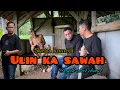 Lagu Ngalongok sawah