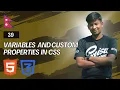 CSS Variables Custom Properties Explained Simplify Your Styling In Nepali