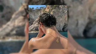                        هيفاء وهبي    رجب   دندنها