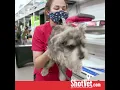 ShotVet Difference