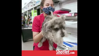 ShotVet Difference