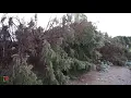 Significant Straight-line Wind Damage - Eagan Minnesota September 17 2021