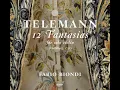 Fantasia for Solo Violin No. 1 in B-Flat Major, TWV 40:14: II. Allegro