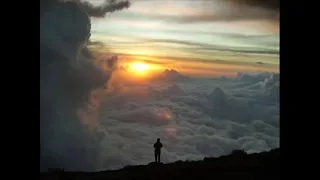 المعنى الحقيقي للحب السيد حسن نصرالله حفظه الله 