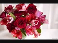 Hany shaker - s2altik _ هاني شاكر سالتك