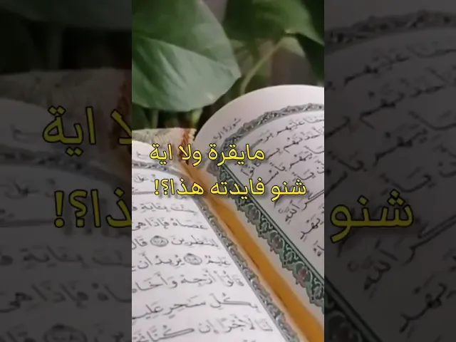 ⁣كن من الموقنين الذكرين #اكسبلور #العظماء #تنجح #لايك #تيك_توك #علاقتك