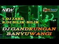 Download Lagu DJ GANDRUNGAN BANYUWANGI BASS EMPUK COCOK BUAT HAJATAN!!By Mletre Project