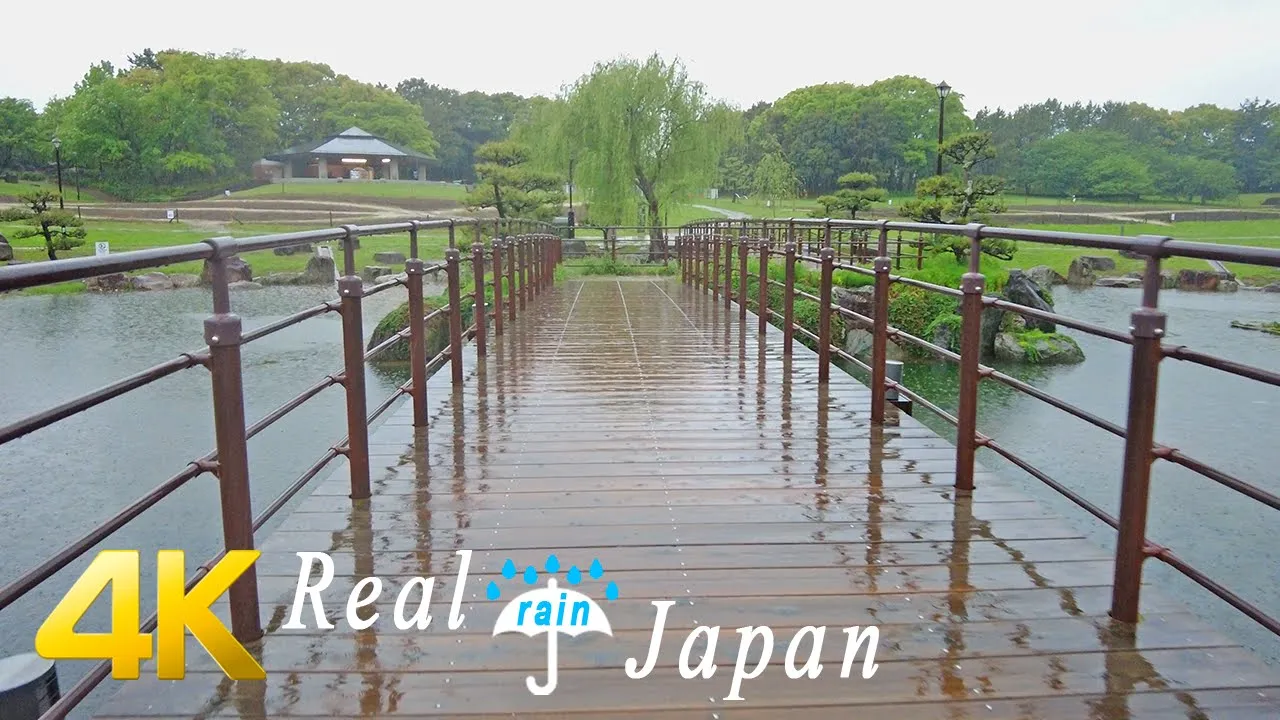 Walking in Rain in Kasai Rinkai Park, Tokyo, Japan - Ambience ASMR 4K