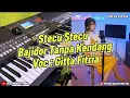 Download Lagu Stecu Stecu - Bajidor Tanpa Kendang Vokal Gitta Fitria Bandung Music
