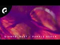 Download Lagu Giants' Nest - Purple Beach (Royalty Free Music)