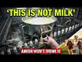 Why Amish Refuse to Drink Pasteurized Milk Even Organic Brands Hide This