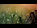 Download Lagu Sella, malo temmadara[Lagu bugis mantap]